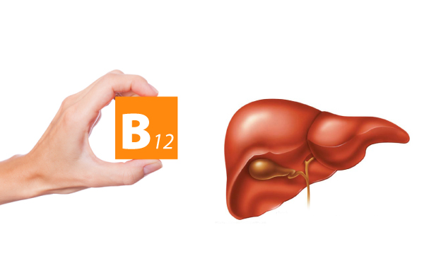 Hình ảnhCó Cần Bổ Sung Vitamin B12 Cho Gan?