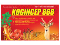 Kogincep-868