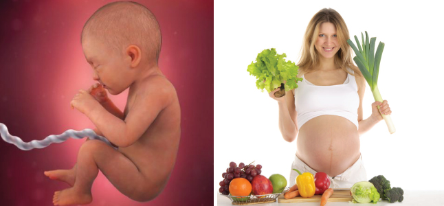 Hình ảnh Dinh dưỡng cho bà bầu sắp sinh nên ăn gì để sinh con khỏe mạnh?